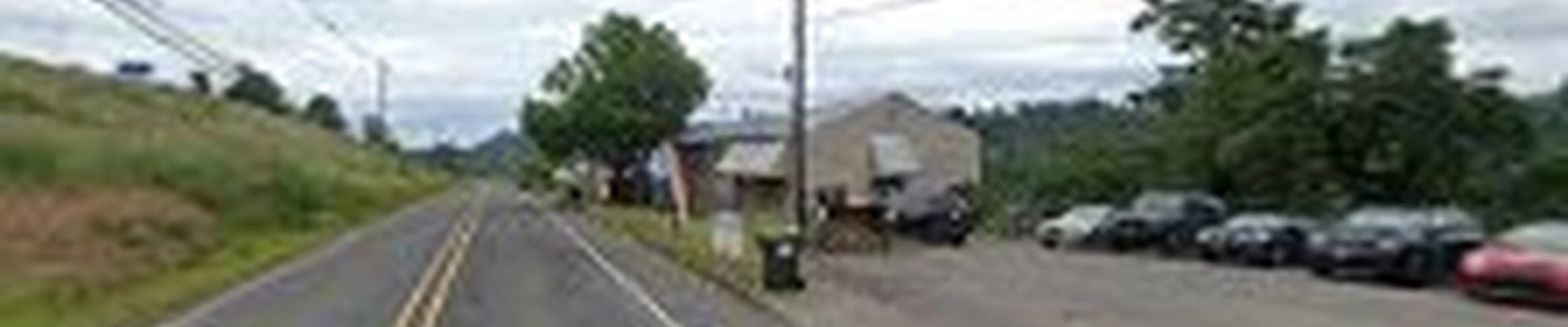 ArborPro Tree Experts