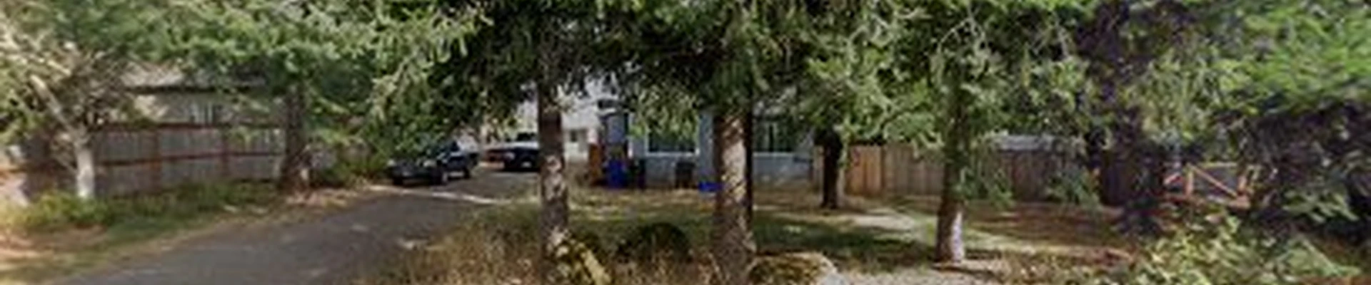 DR Trees Oregon City