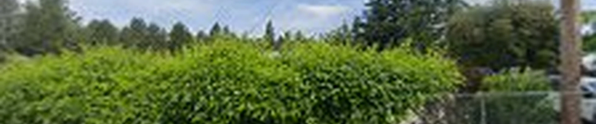 Deep Creek Garden Center