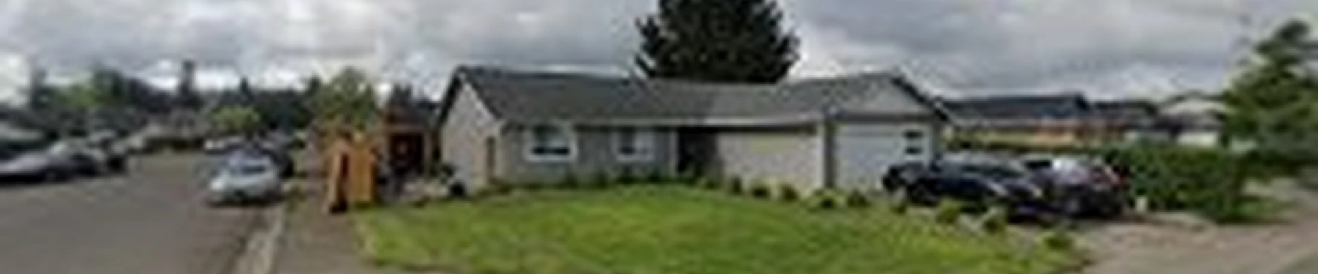 Kondor Tree Services