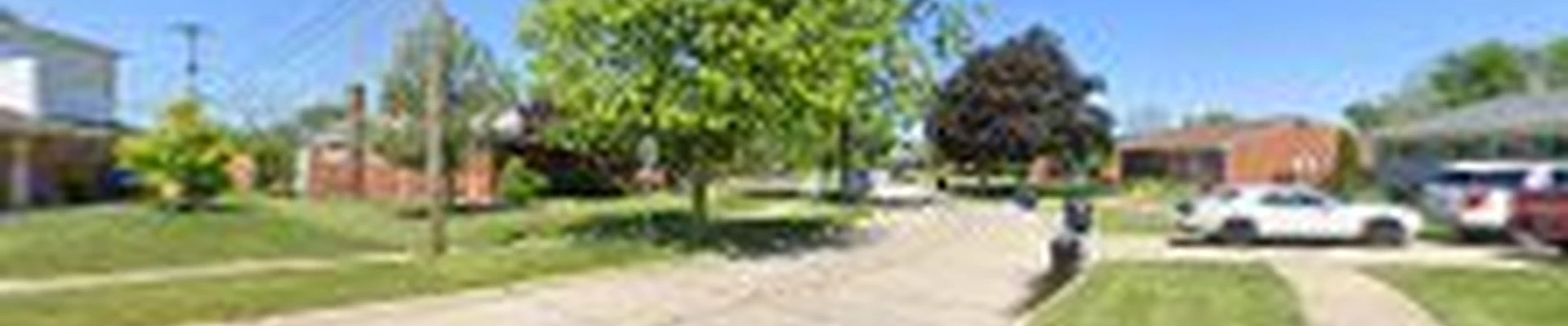Arek Tree Service