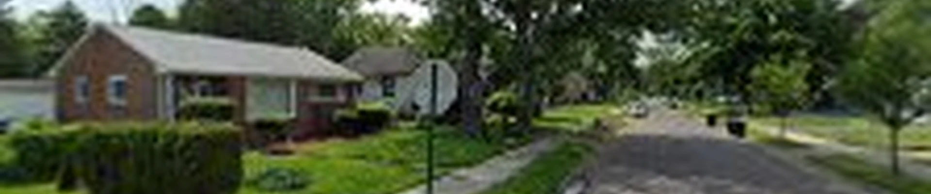 Alonzo's Tree Service