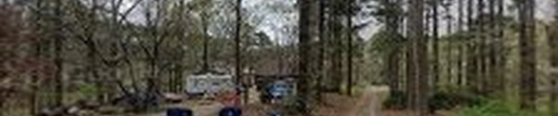 Hatchie Tree Service