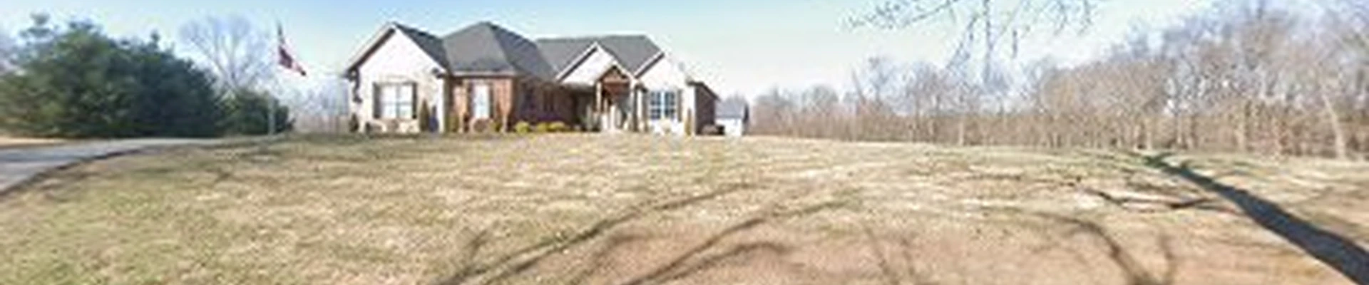 Andy’s Tree and Stump Removal