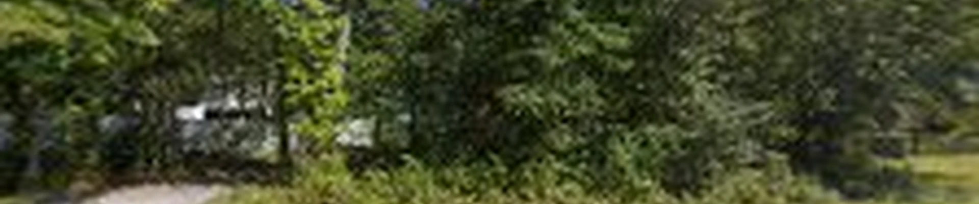 Universal Tree Expert.LLC