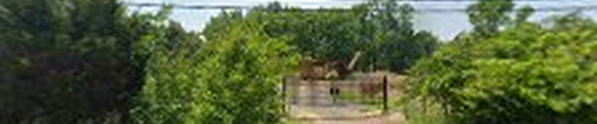 Dundee Farm LLC