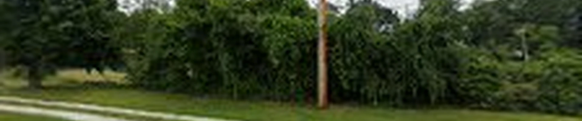 Steve's Tree Service