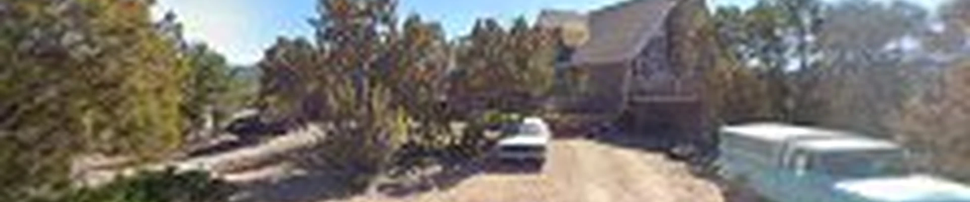 Duprees Trees, Llc