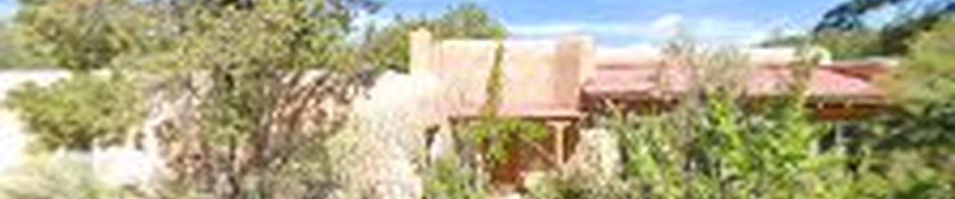 Capital Tree Service