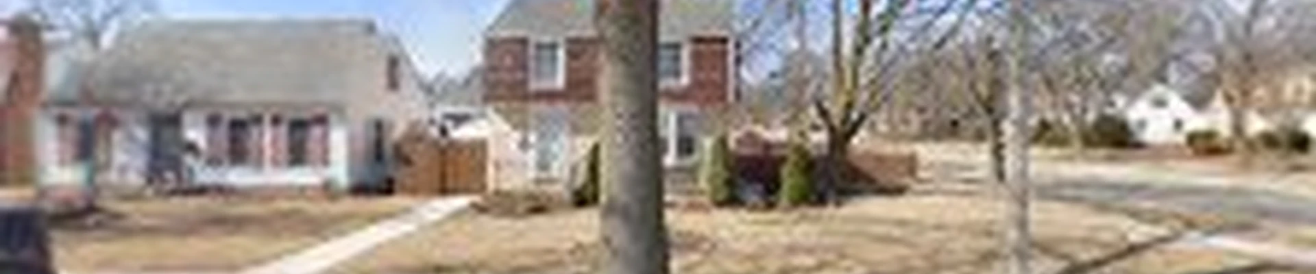Eduardo's Tree Service