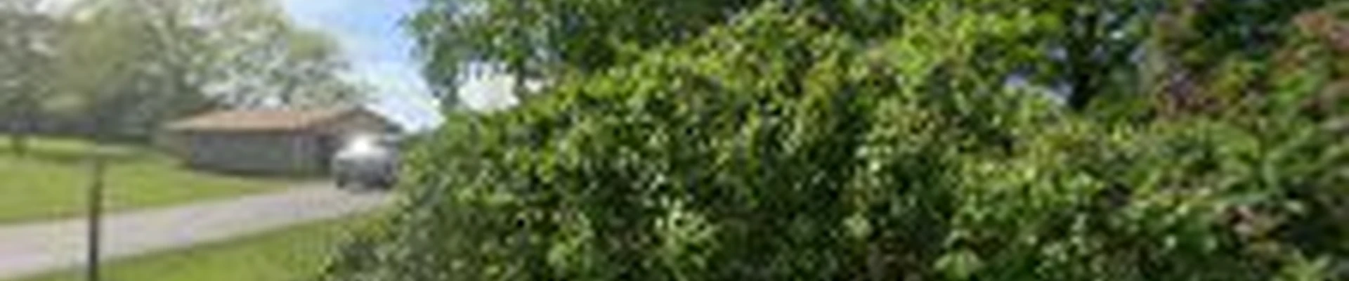 DeKrey Tree Worx