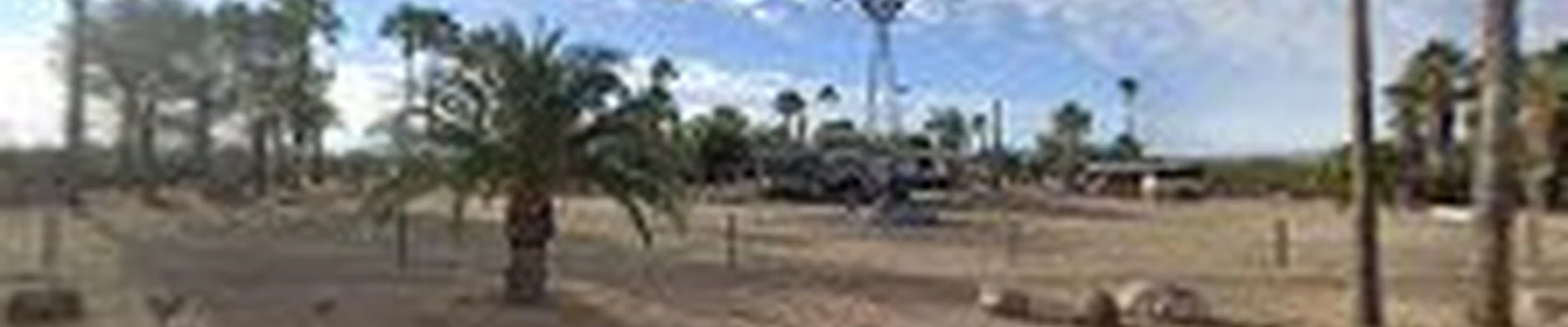 Menehune Tree Services