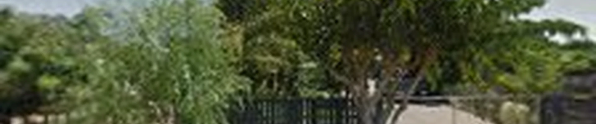 A.B.O Tree Service