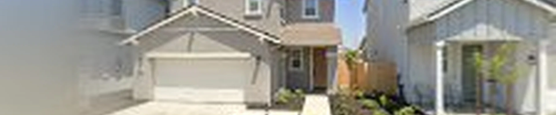 San Joaquin Tree Service