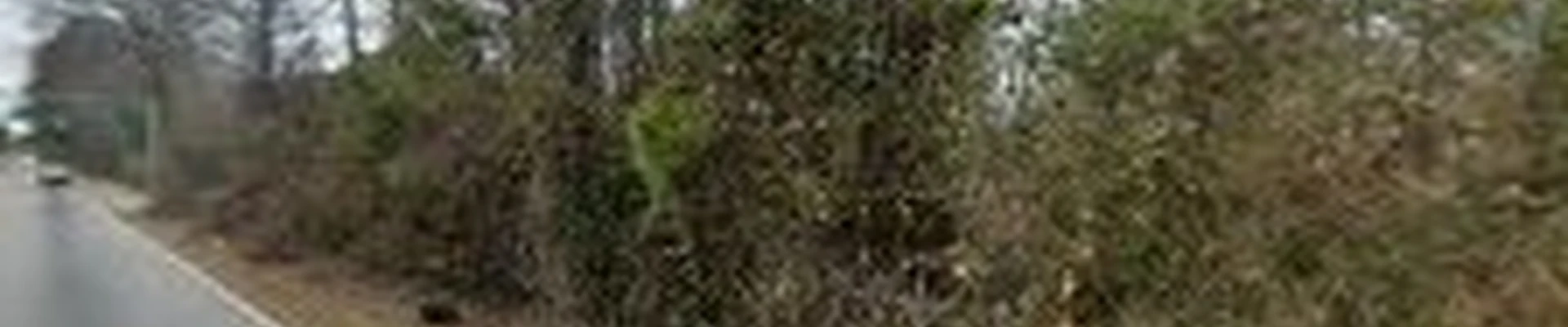 Ramos Tree Services
