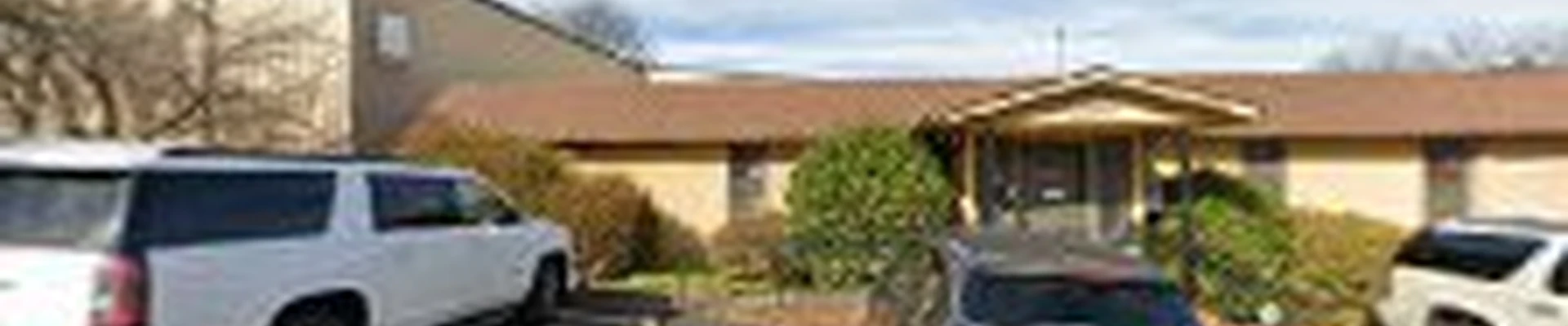 Gill Tree Care