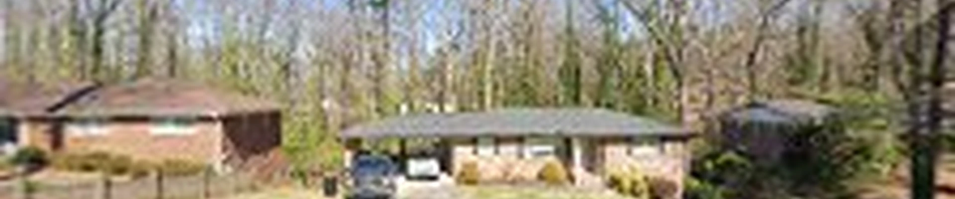 All Pro Tree Service