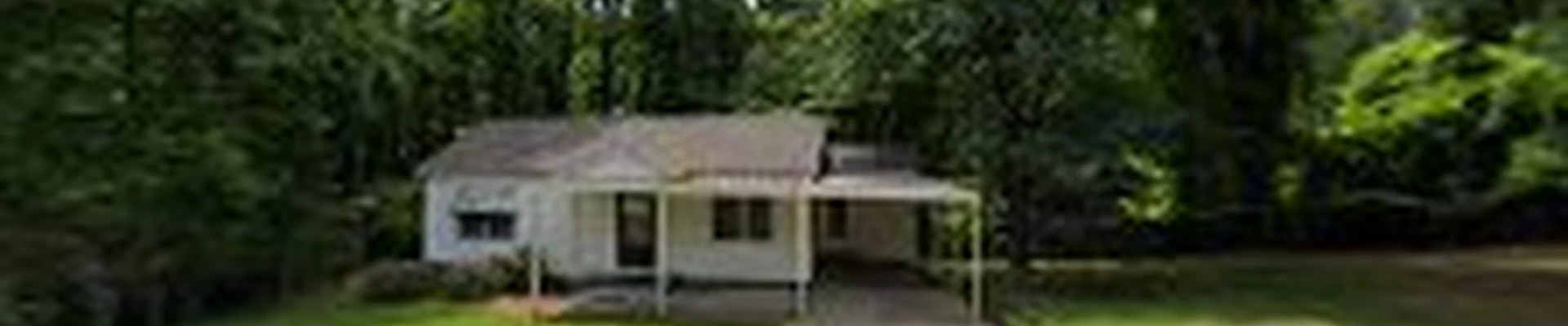Top pine Tree Services