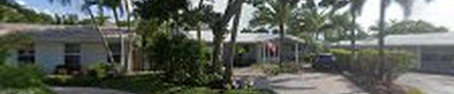 Southern Arbor Services