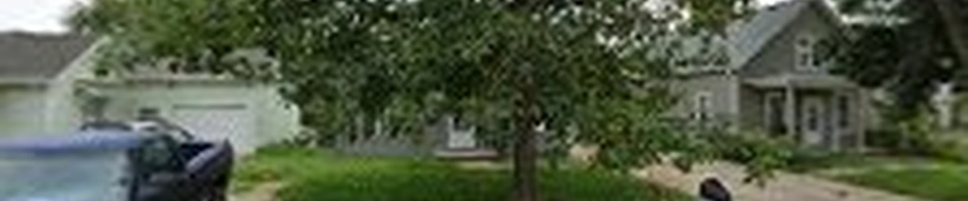 Elevated Tree Solutions
