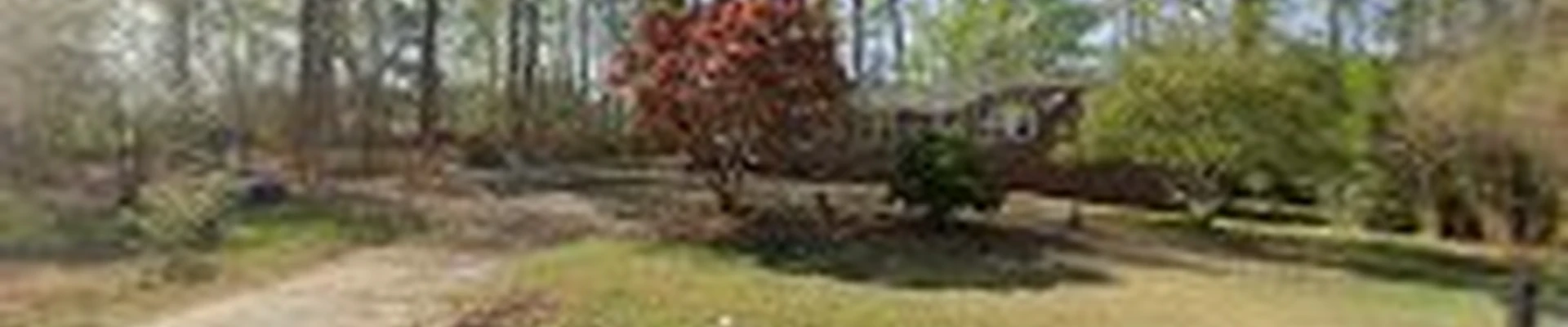 Humble Tree Professionals