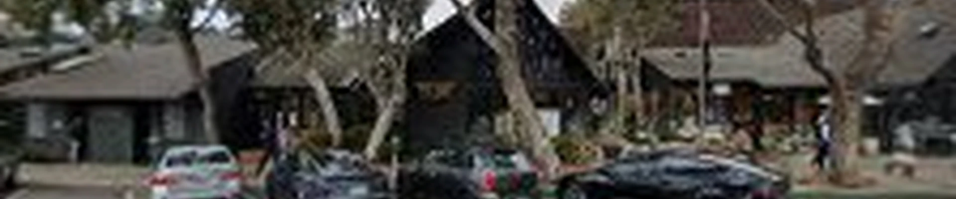 Laguna Tree Service