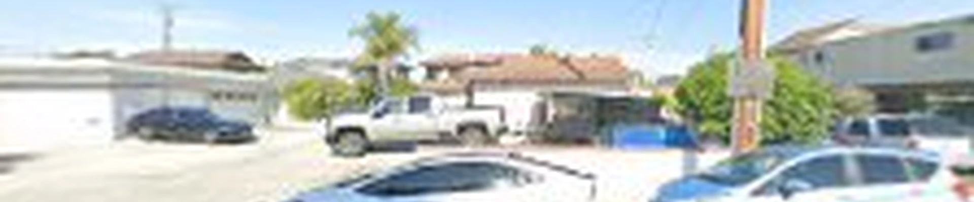 Bernal's Tree Services