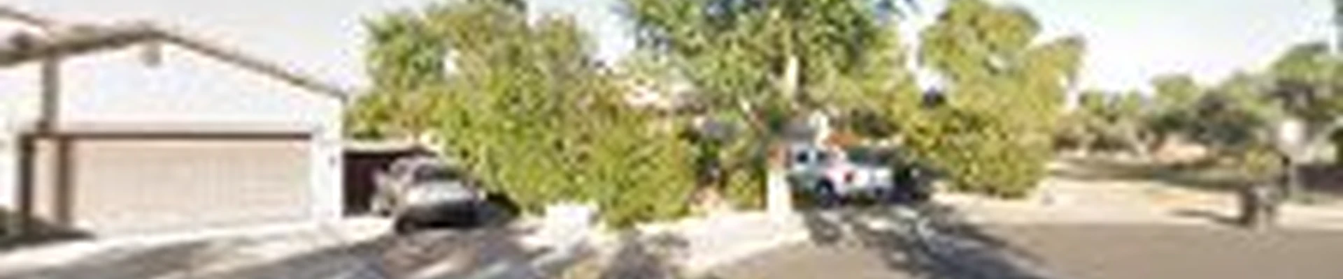 Power Ranch Arborists