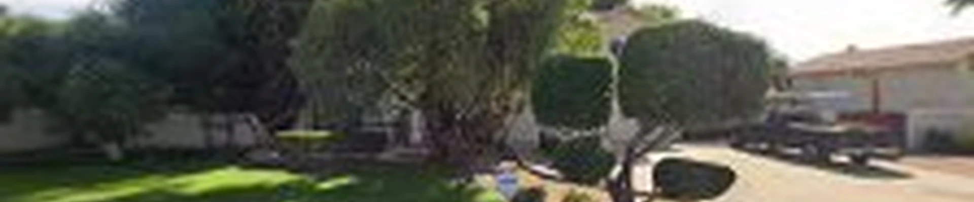 AZ Tree Trimmer