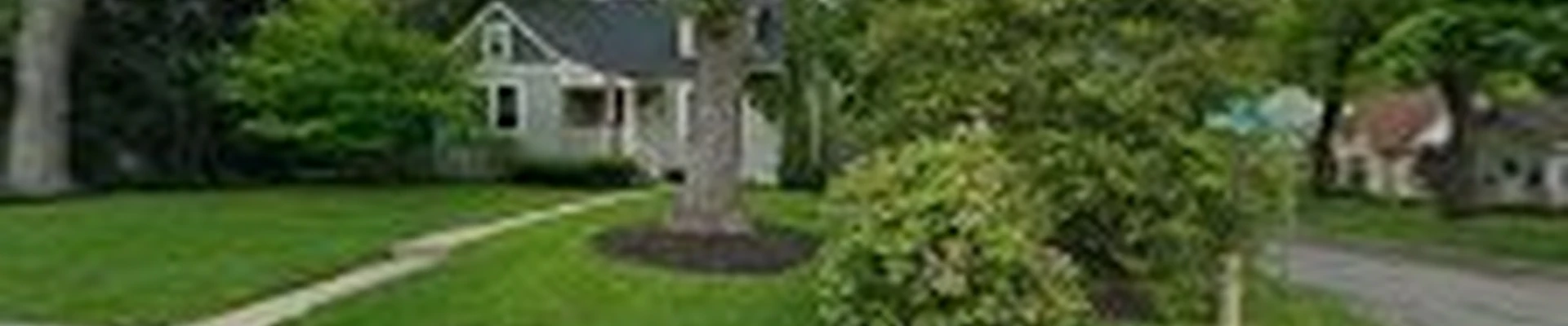 Keiling Tree Care