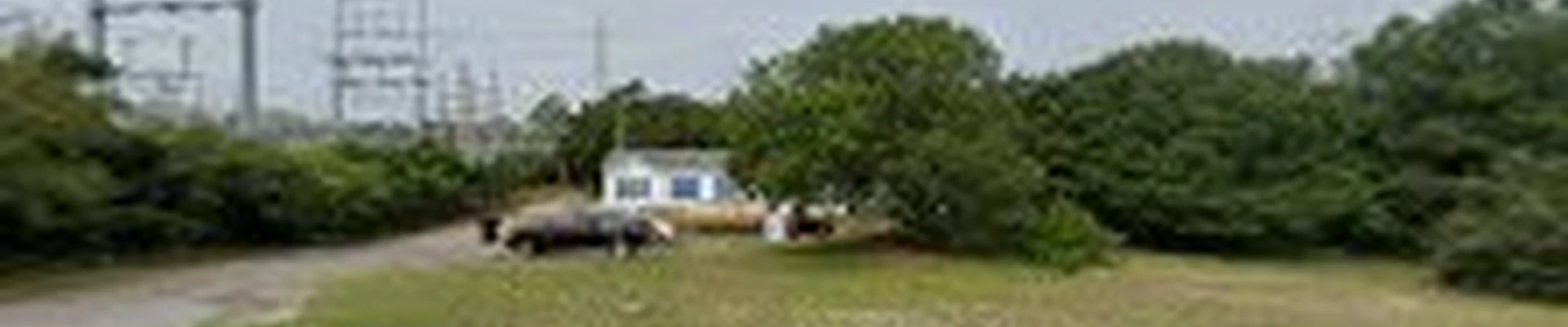 William's Tree Service
