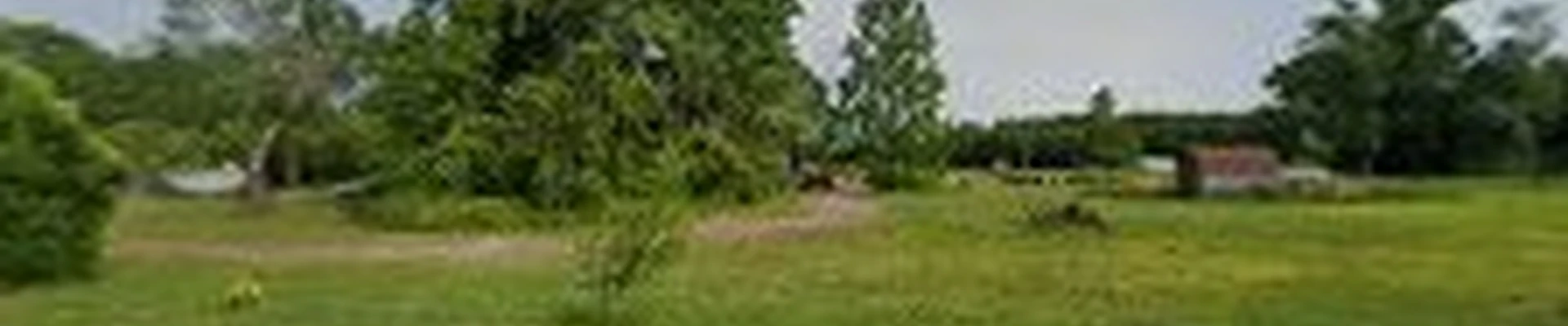 Windsor Tree Service Inc