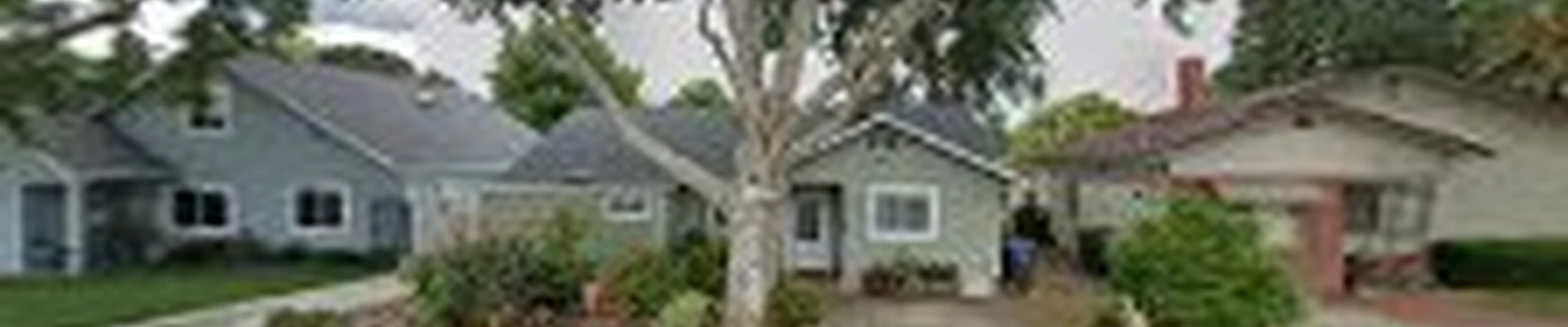 Gilbert's Tree Services