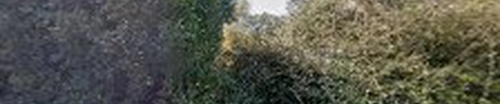 Safe Choice Tree Service