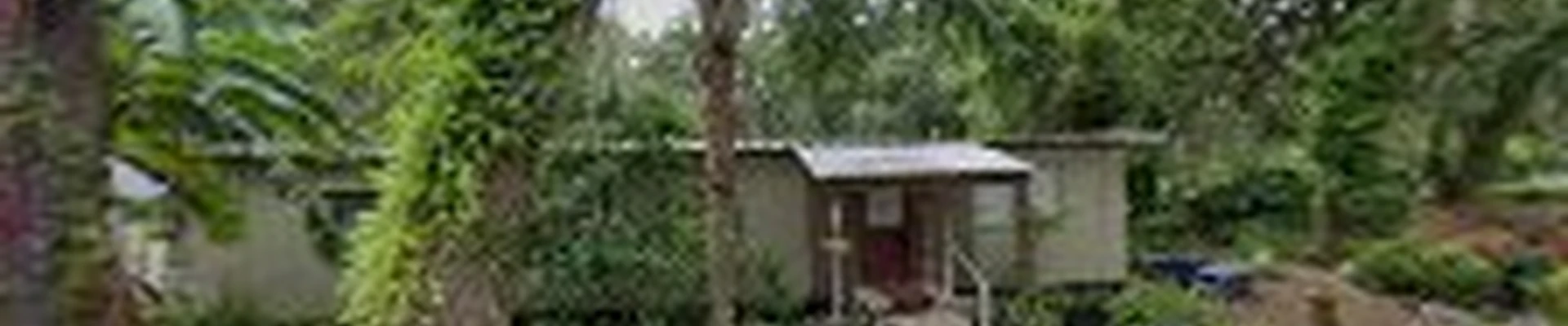 813 Hillsborough handyman tree servicesLLc