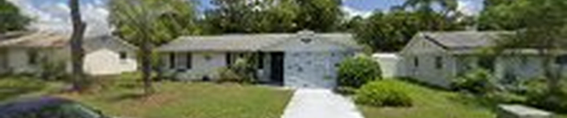 The Vine Tree Service LLC
