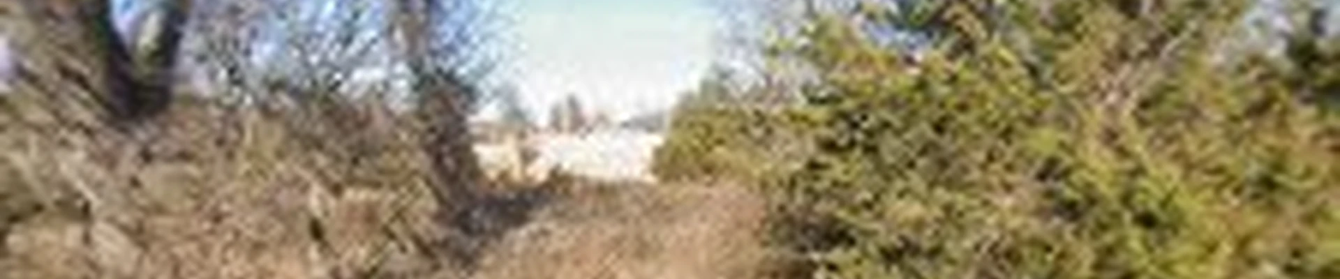 Elite Bartlesville Tree Services