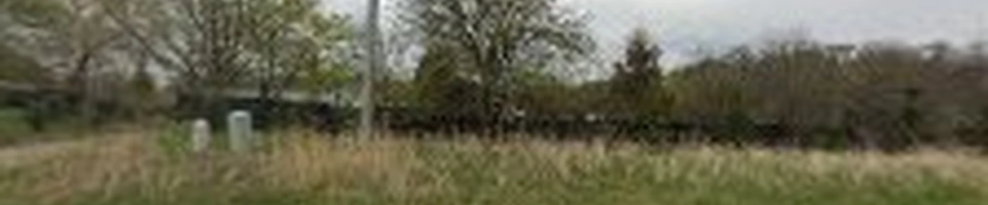 Elijahs Treecare