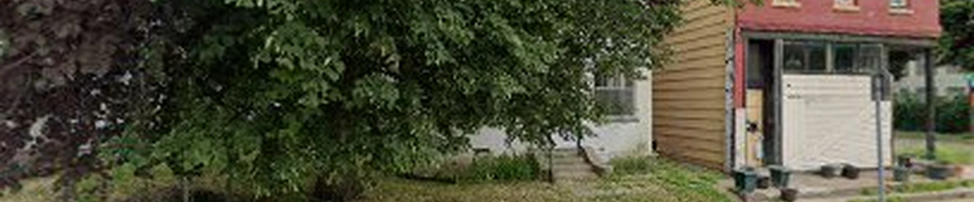 Arbor Tree Care