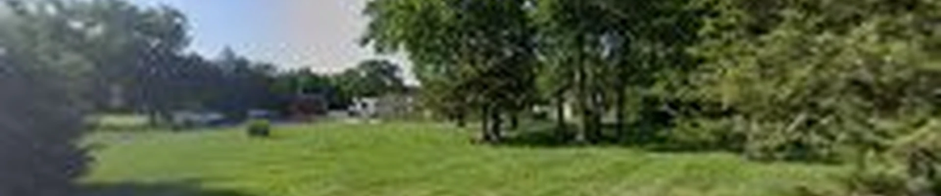 Wilson Tree care