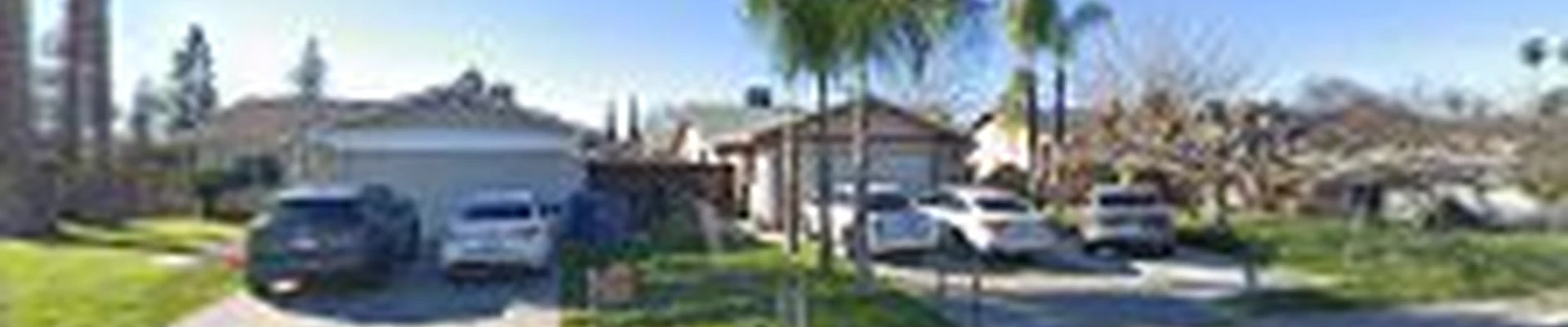 Salas Tree Service