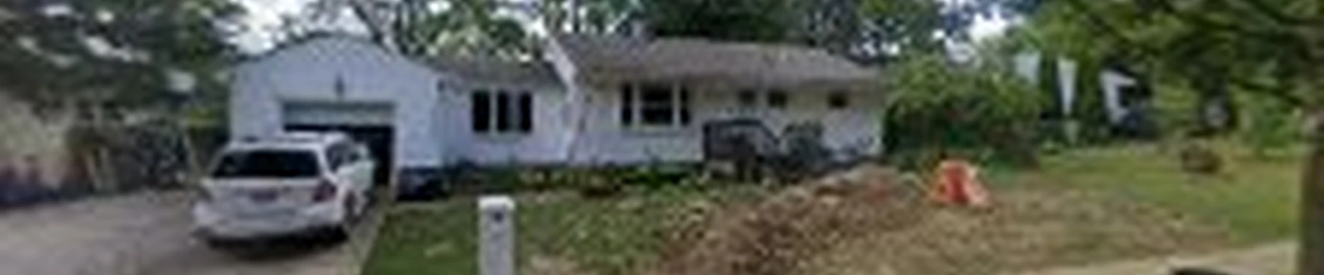 Daves Tree Removal Inc.