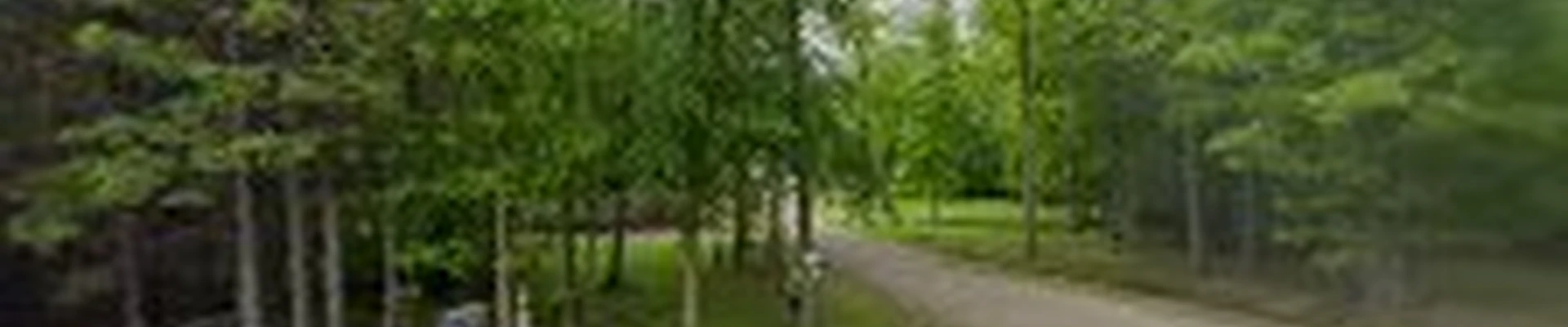 Scott Randolph's Tree Service