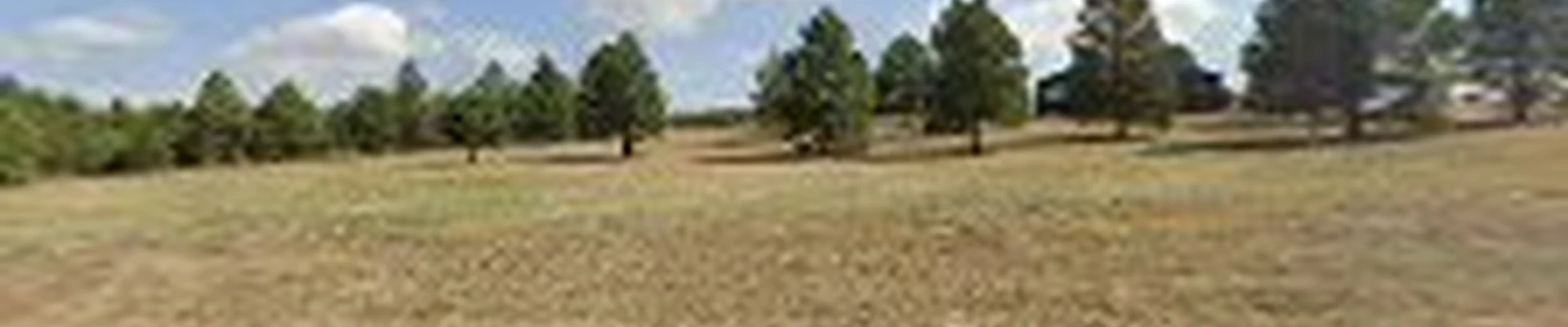 High Prairie Tree & Turf