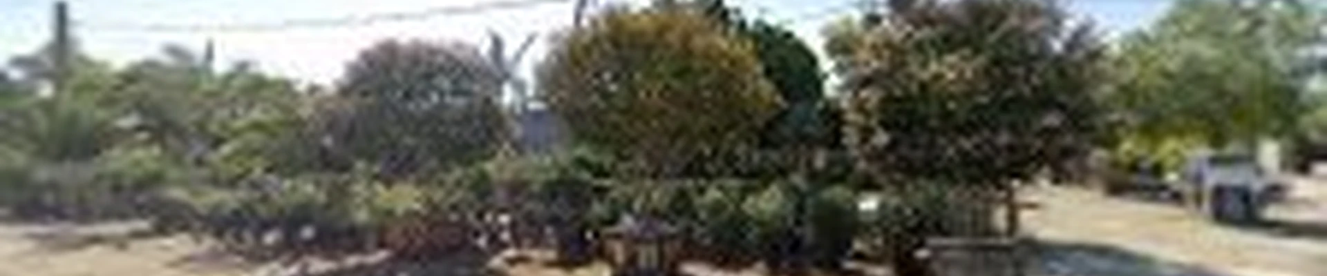 Moon Valley Nurseries