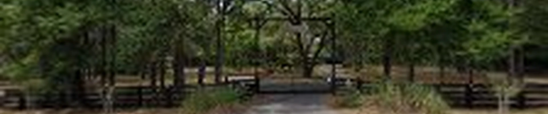 Windsor & Son Tree Care Services