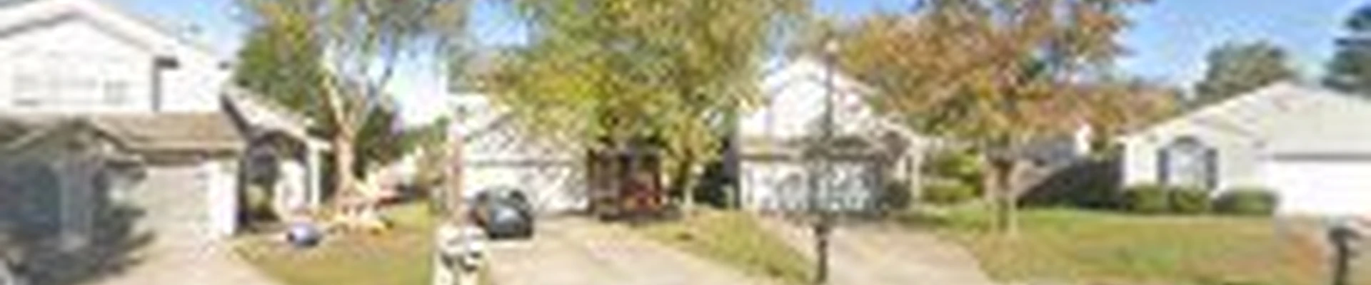 Georgetown Tree Service