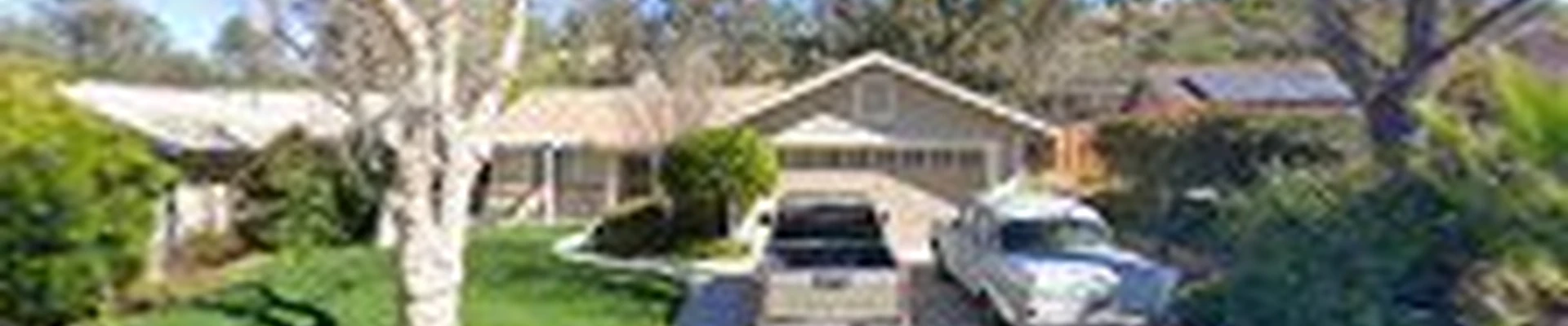 Quality Tree Service Temecula