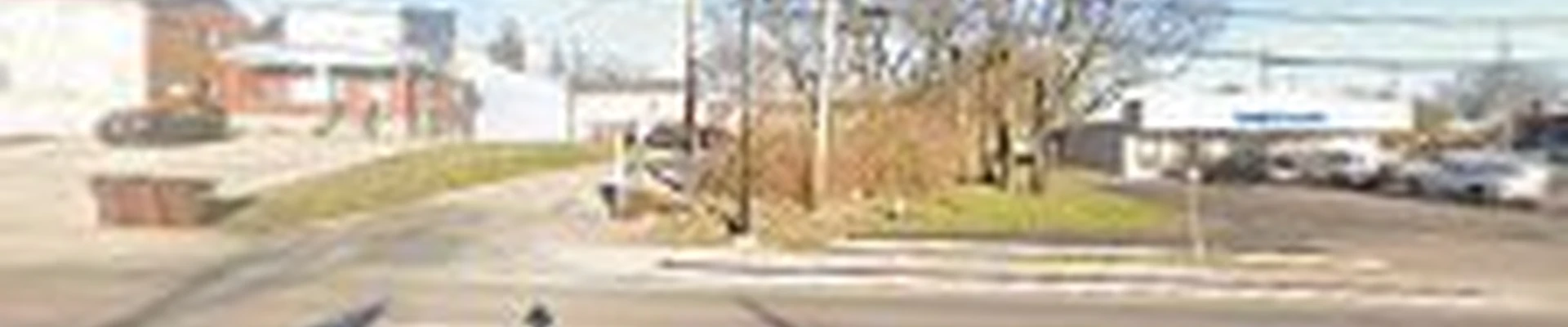 Cincinnati Elite Tree Service