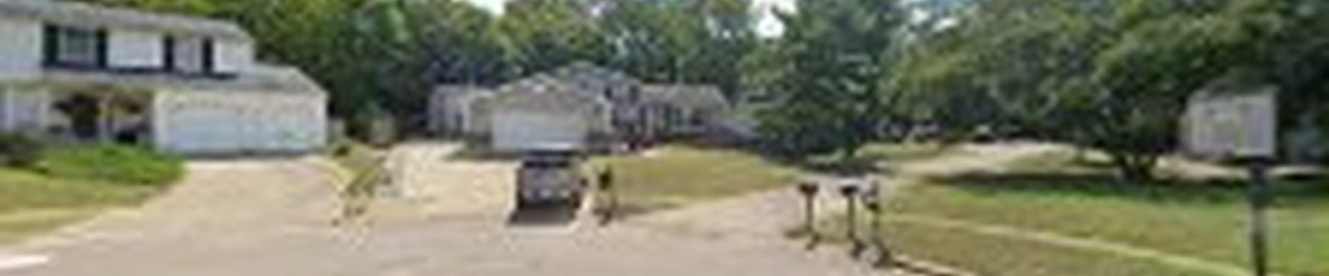B&A Tree Services and Stump Removal